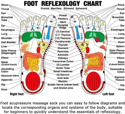 Foot Massage Acupressure Socks (SOCKS + STICK)